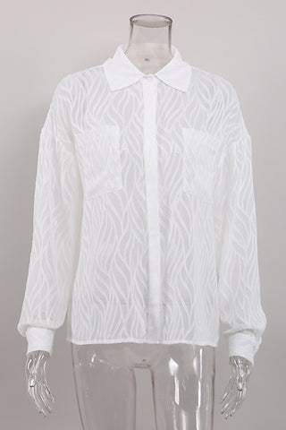 Elegant Sheer Long Sleeve Blouse