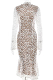 Elegant Lace Evening Dress