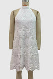Lace Overlay Sleeveless Dress