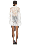 Elegant Lace Sheer Overlay Dress