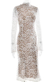 Elegant Lace Evening Dress