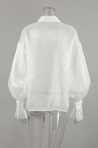 Elegant Sheer Button-Up Blouse