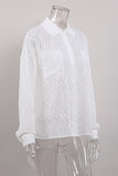Elegant Sheer Long Sleeve Blouse