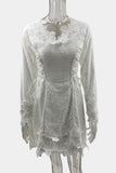 Lace Flare Casual Dress