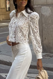 Elegant Lace Button-Up Blouse