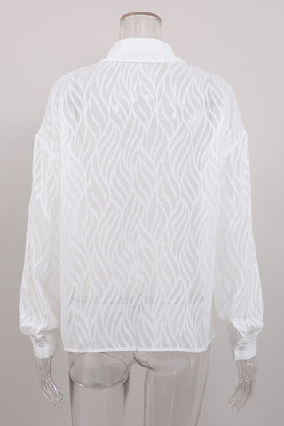 Elegant Sheer Long Sleeve Blouse