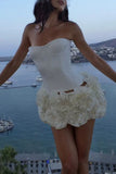 Strapless Bustier Top Set