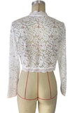 Elegant Lace Long-Sleeve Top