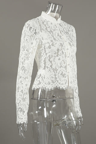 Elegant Lace Button-Front Blouse