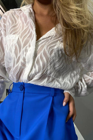 Elegant Sheer Long Sleeve Blouse
