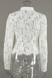 Elegant Lace Button-Front Blouse