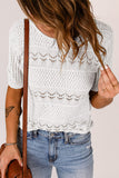 Short-Sleeve Textured Sweater Top