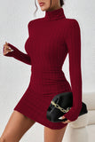 Ribbed Knit Turtleneck Dress