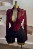 Elegant Sheer Long Sleeve Top