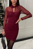 Mesh Long-Sleeve Mini Dress