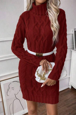 Cozy Cable Knit Turtleneck Dress