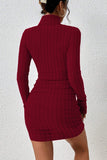 Ribbed Knit Turtleneck Dress