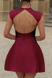 Sleeveless A-Line Mini Dress