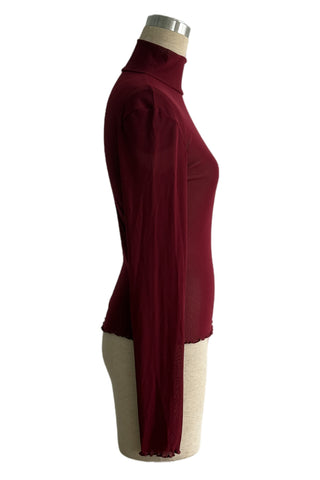 Sheer Turtleneck Long Sleeve Blouse