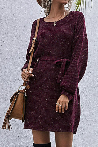 Belted Knit Casual Dress
