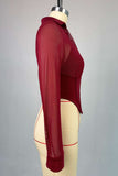 Elegant Sheer Long Sleeve Top