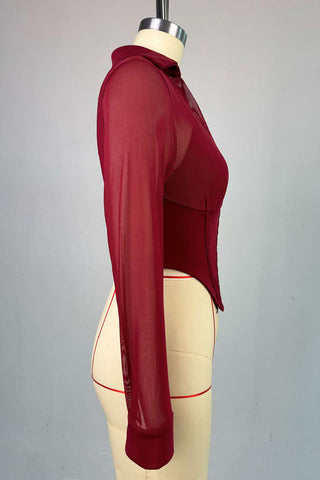 Elegant Sheer Long Sleeve Top