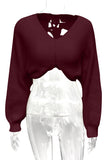 Cropped V-Neck Sweater