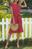 Polka Dot Tie-Waist Casual Dress