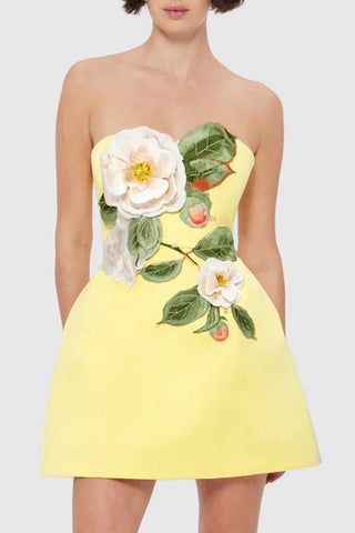 Floral Appliqué A-Line Dress
