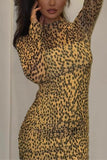 Long Sleeve Patterned Maxi Dress