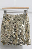 Sequin Mini Skirt