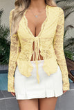 Plunge Lace Blouse with Tie-Front Accent