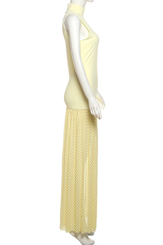 Sleeveless Maxi Dress with Sheer Overlay