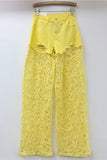Sequin Mesh Wide Leg Pants