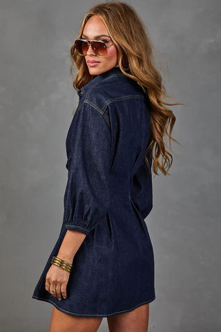 Puff Sleeve Button-Front Collared Mini Dress