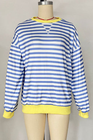 Striped Crew Neck Contrast Trim Top