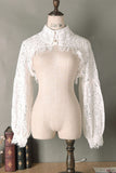 Lace Long Sleeve Cropped Blouse