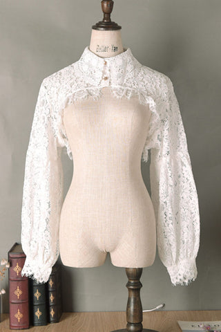 Lace Long Sleeve Cropped Blouse
