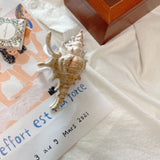 Seashell Shaped Hair Claw Clip