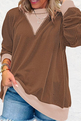 Textured V-Neck Color Block Sweatshirt