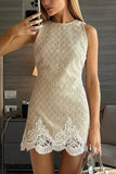 Textured Lace Trim Mini Dress