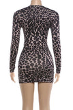 Sheer Polka Dot Long Sleeve Mini Dress