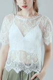 Sheer Floral Lace Flutter Sleeve T-Shirt