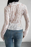Sheer Floral Lace Ruffle V-Neck Blouse