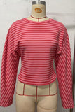Striped Ribbed Knit Long Sleeve Top