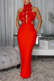 Floral Applique Halter Cutout Maxi Evening Dress
