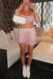 Sequin Sheer Mesh Crop Top and Mini Skirt Set
