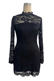Sheer Lace Mock Neck Bodycon Mini Dress