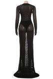 Sheer Striped Long-Sleeve Maxi Dress