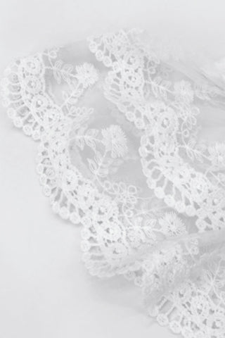 Lace Puff Sleeve Crew Neck Top